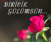 Only one rose